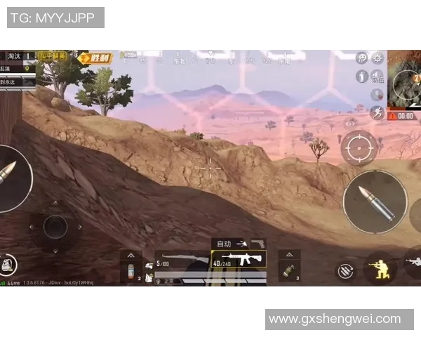 和平精英焦点LNG团队战术意识与团队协作能力的深度分析与探讨