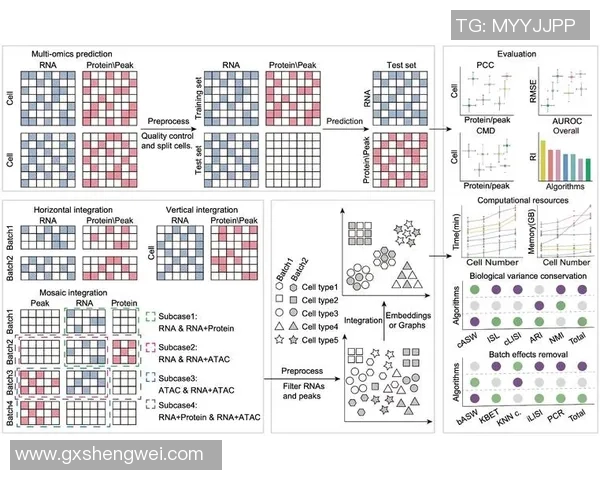 S15电竞总决赛聚焦英雄联盟TES团队配合与战术分析的深度探讨